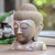 Wood sculpture, 'Buddha Bust' - Hand Carved Hibiscus Wood Buddha Sculpture (image 2b) thumbail
