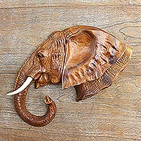 Home Decor Wall Art Wooden shape Elephant with clover Wooden Cut Out 