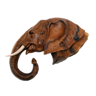 Wandskulptur aus Holz - Elefantenkopf aus Suar-Holz mit Onyx-Augen