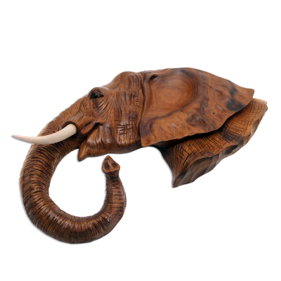 Wood wall sculpture, 'Gentle Giant' - Suar Wood Elephant Head with Onyx Eyes