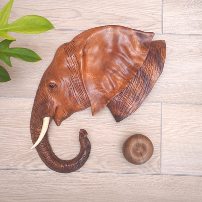 Wood wall sculpture, 'Gentle Giant' - Suar Wood Elephant Head with Onyx Eyes