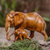 Wood sculpture, 'Elephant and Calf' - Suar Wood Elephant Mother and Baby Sculpture (image 2) thumbail