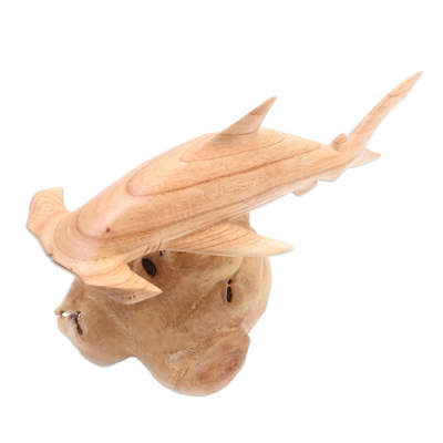 Wood sculpture, 'Swimming Hammerhead' - Hand Carved Jempinis Wood Hammerhead Shark Sculpture
