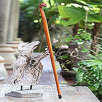 Featured review for Mahogany wood walking stick, Snake Head