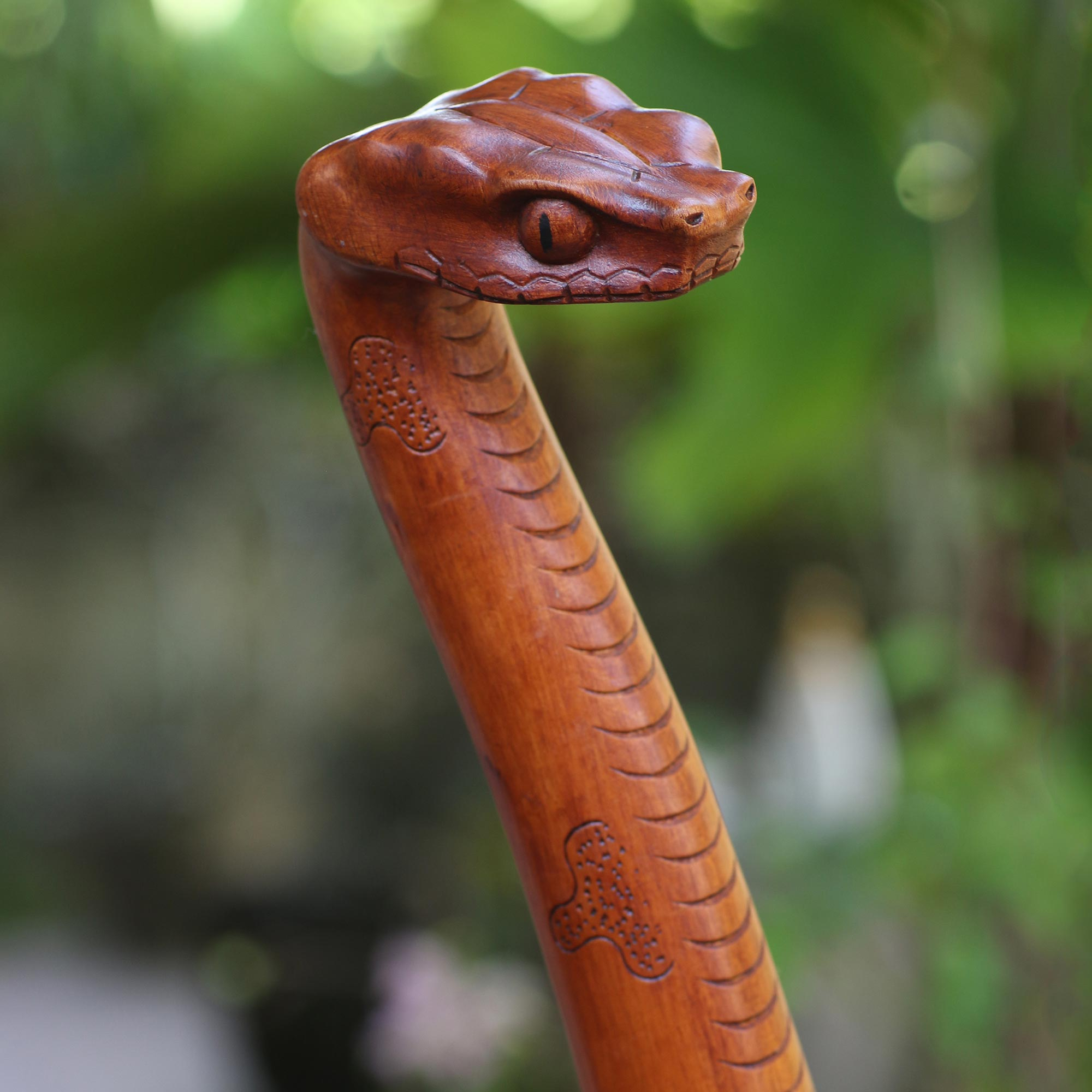 Hand Carved Mahogany Wood Snake Walking Stick - Snake Head | NOVICA