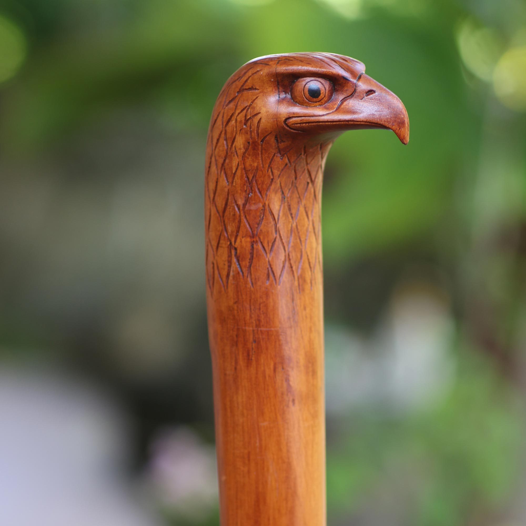 Handmade Mahogany Wood Eagle Walking Stick Eagle Head NOVICA