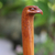 Mahogany wood walking stick, 'Eagle Head' - Handmade Mahogany Wood Eagle Walking Stick