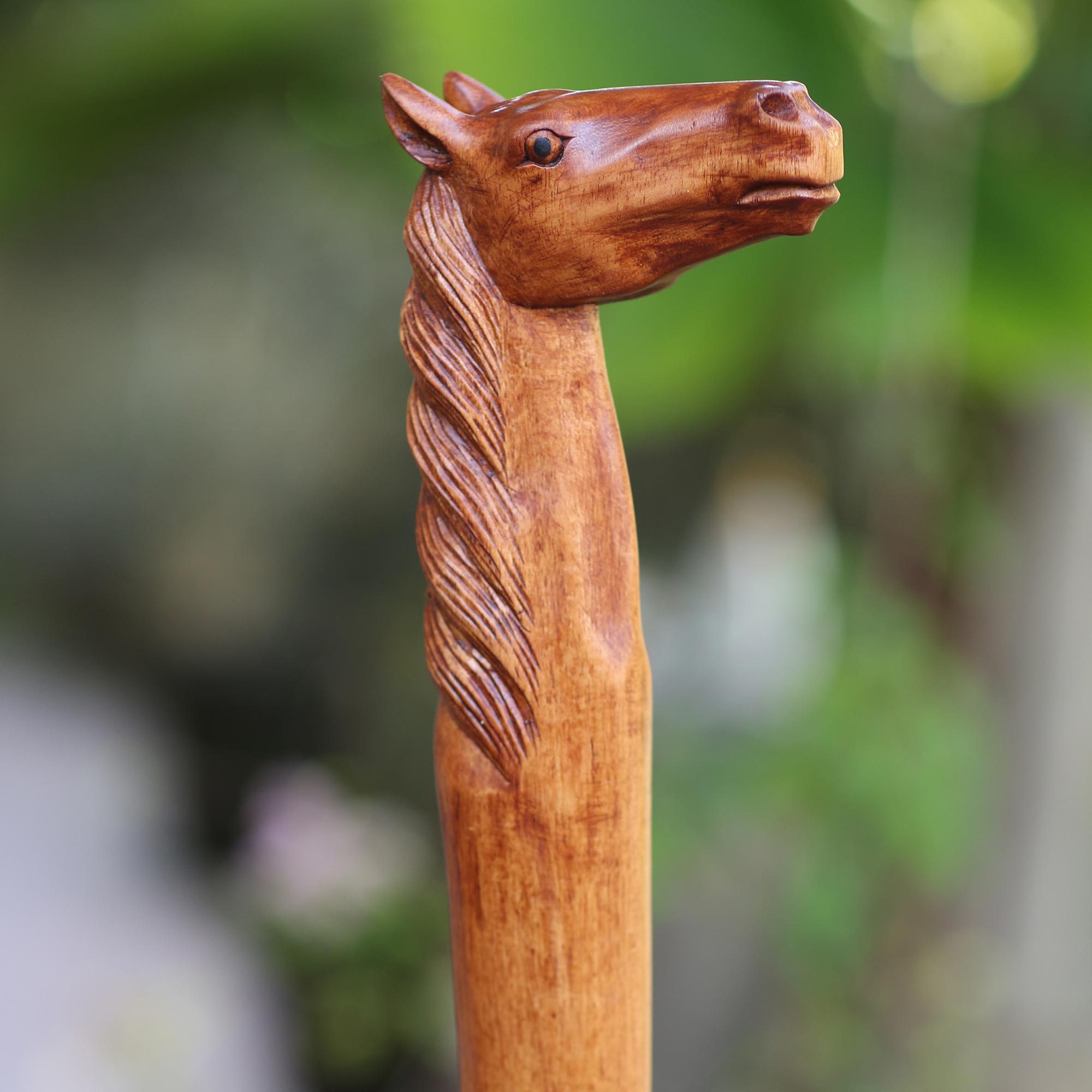 Hand Crafted Mahogany Wood Horse Walking Stick Horse Head NOVICA