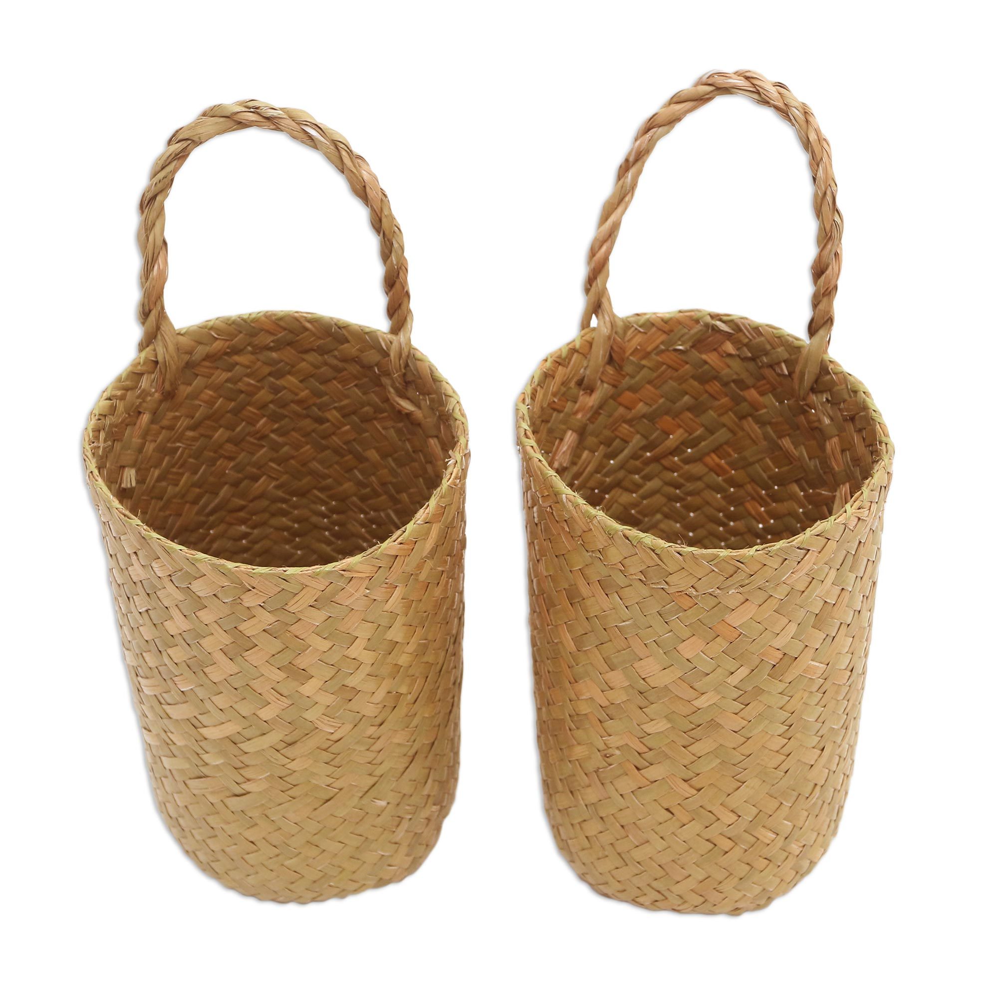 Hand Woven Natural Fiber Baskets from Bali (Pair) Natural Look NOVICA