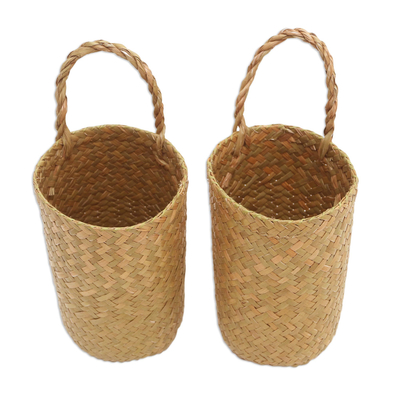 Natural fiber baskets, 'Natural Look' (pair) - Hand Woven Natural Fiber Baskets from Bali (Pair)