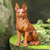 Escultura de madera, 'Buen perro' - Escultura de perro de madera de Suar tallada a mano de Bali