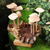 Holzskulptur - Handgefertigte Pilzskulptur aus Jempinis und Benalu-Holz