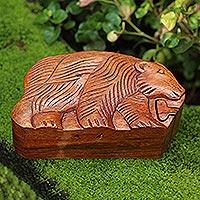 Wood puzzle box, 'Hungry Bear'