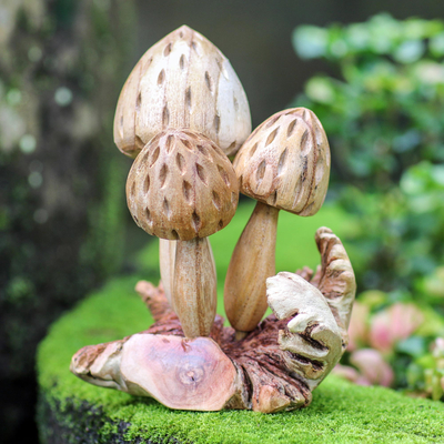 Holzskulptur „Lebende Pilze“ - Handgefertigte Pilzskulptur aus Jempinis-Holz