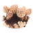 Wood sculpture, 'Mushroom Cluster' - Hand Carved Jempinis Wood Mushroom Sculpture (image 2c) thumbail