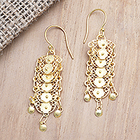 Gold-plated filigree dangle earrings, 'Slice of Life' - Gold-Plated Sterling Silver Dangle Earrings