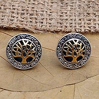 Gold-accented button earrings, 'Golden Banyan Tree' - Gold-Accented Tree-Themed Button Earrings