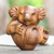 Estatuilla de madera, 'Koala hambriento' - Estatuilla de koala de madera de Suar tallada a mano