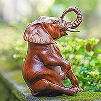 Wood sculpture, 'Pudgy Baby' - Hand Crafted Suar Wood Elephant Sculpture