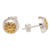 Gold-accented stud earrings, 'Golden Growth' - Gold-Accented Floral Stud Earrings (image 2b) thumbail