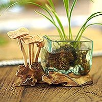 Wood and glass sculpture, 'Square Vase' - Hand Blown Glass and Mushroom Sculpture