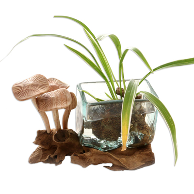 Skulptur aus Holz und Glas, „Quadratische Vase“ – Skulptur aus mundgeblasenem Glas und Pilzen