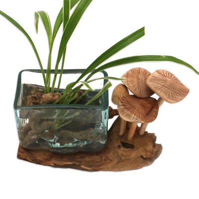 Skulptur aus Holz und Glas, „Quadratische Vase“ – Skulptur aus mundgeblasenem Glas und Pilzen