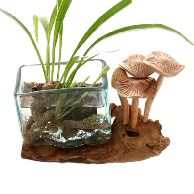 Wood and glass sculpture, 'Square Vase' - Hand Blown Glass and Mushroom Sculpture