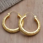 Gold-plated hoop earrings, 'Admiring Beauty' - Artisan Crafted Gold-Plated Hoop Earrings from Bali