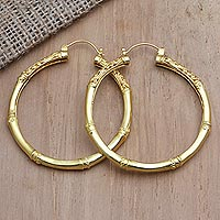 Gold-Plated Bamboo-Inspired Hoop Earrings,'Charming Bamboo'