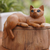 Wood statuette, 'From a Dream' - Artisan Crafted Suar Wood Cat Statuette