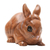 Wood statuette, 'Chubby Bunny' - Hand Carved Suar Wood Bunny Statuette thumbail