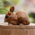 Wood statuette, 'Chubby Bunny' - Hand Carved Suar Wood Bunny Statuette (image 2b) thumbail