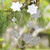 Guirnalda navideña de aluminio - Guirnalda festiva de aluminio con motivos florales