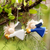 Wood holiday ornaments, 'Blessed Love' (pair) - Hand Carved Wooden Angel Ornaments (Pair) (image 2) thumbail