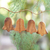 Wood ornaments, 'Simple Bells' (set of 4) - Balinese Hand Carved Christmas Ornaments (Set of 4)