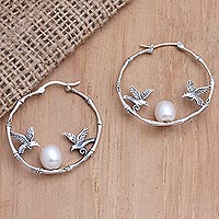 Cultured pearl hoop earrings, 'From Above in Peach'