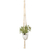 Hand-woven plant hanger, 'Lounging Plant' - Hand-Woven Cotton Plant Hanger from Bali (image 2c) thumbail