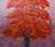'Focus of Interest' - Acrylic Tree Painting on Canvas from Java thumbail