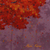 'Focus of Interest' - Acrylic Tree Painting on Canvas from Java (image 2c) thumbail