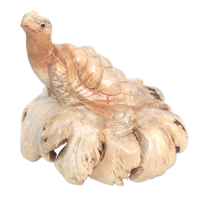 Wood statuette, 'Struggling Turtle' - Hand Carved Jempinis Wood Turtle Sculpture