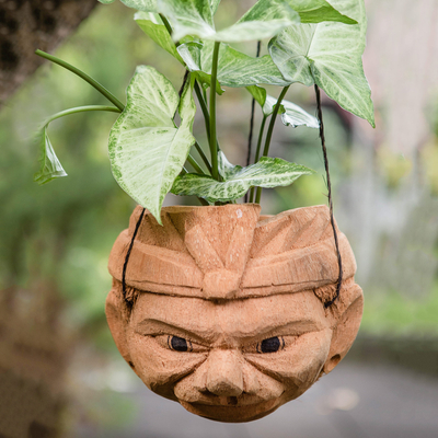 Coconut shell hanging planter, 'Greenery Galore' - Hanging Coconut Shell Planter from Bali