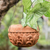 Coconut shell hanging planter, 'Floating Florals' - Handcrafted Coconut Shell Planter from Bali (image 2) thumbail