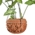 Coconut shell hanging planter, 'Floating Florals' - Handcrafted Coconut Shell Planter from Bali thumbail