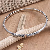 Gold-accented bangle bracelet, 'Glimmer in Your Eye'