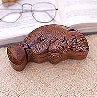 Decorative wood puzzle box, 'Lazy Seal' - Handcrafted Seal Theme Puzzle Box