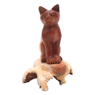 Wood sculpture, 'Wary Cat' - Handcrafted Hibiscus Wood Cat Sculpture