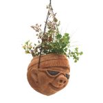 Coconut shell hanging planter, 'Funny Face' - Handcrafted Coconut Shell Planter