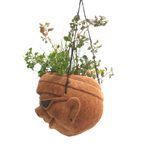 Coconut shell hanging planter, 'Funny Face' - Handcrafted Coconut Shell Planter