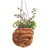 Coconut shell hanging planter, 'Cheesy Grin' - Artisan Crafted Coconut Shell Hanging Planter